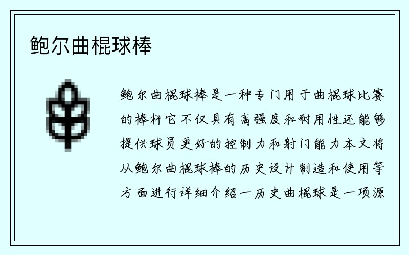 鲍尔曲棍球棒