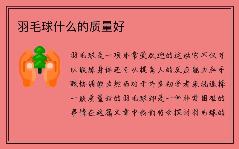 羽毛球什么的质量好